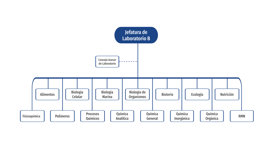 Organigrama Laboratorio B